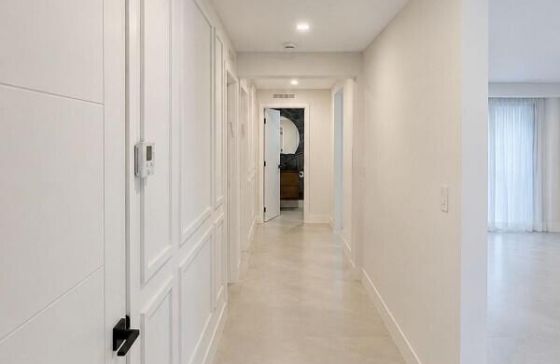 image12