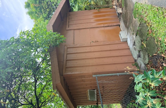 image10