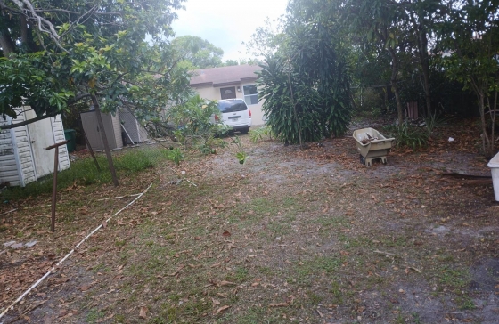 image11