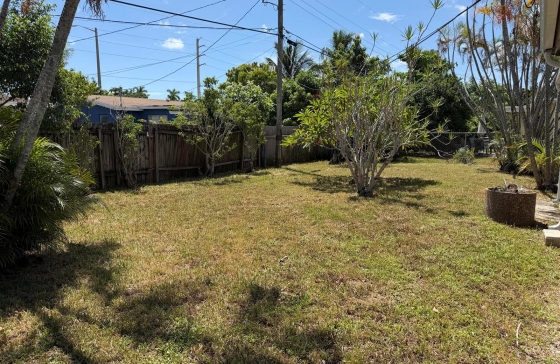 image7