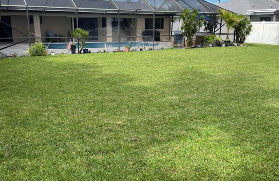 image12