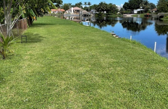 image14