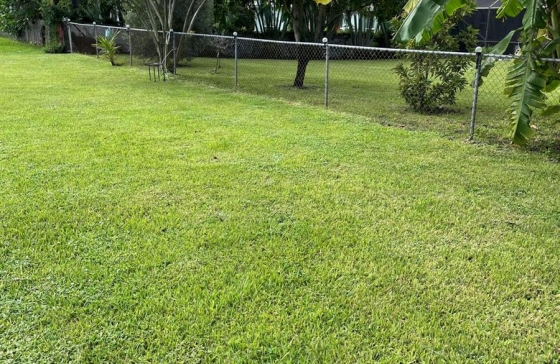 image17