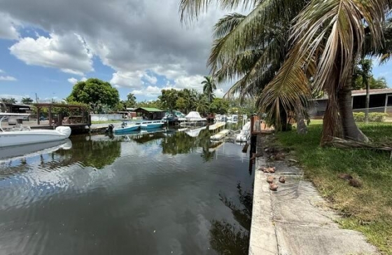 image10