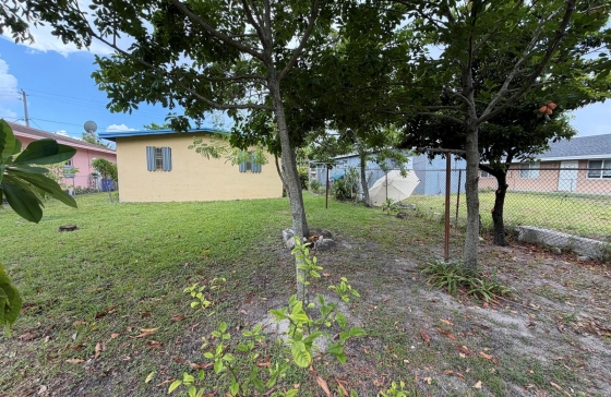 image19