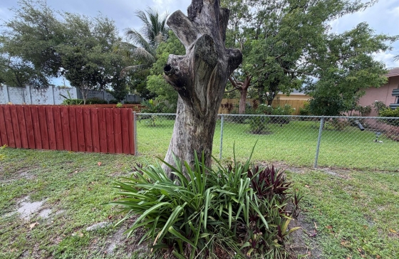 image22