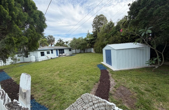 image11