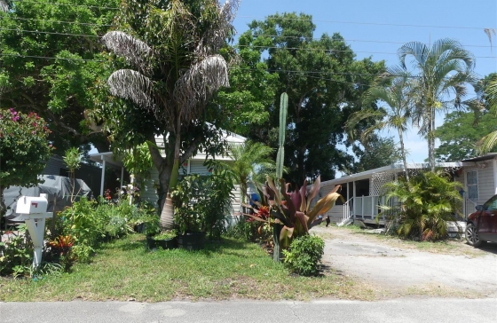 image10
