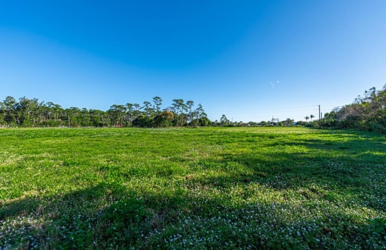 image10