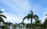 image15