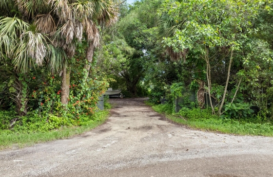 image10