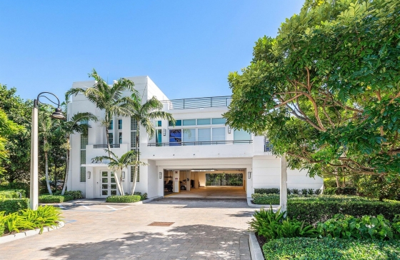 226  Palm #
