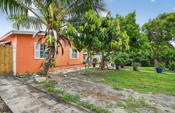image6