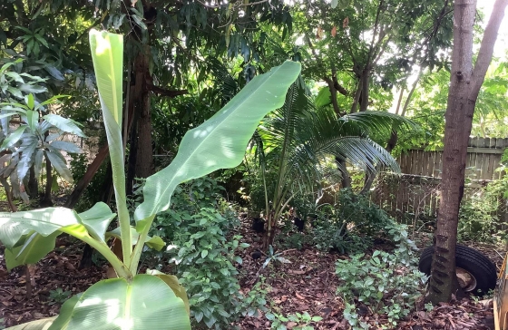 image39