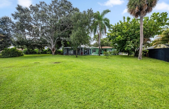 image6