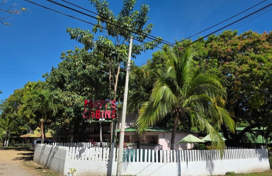 image4