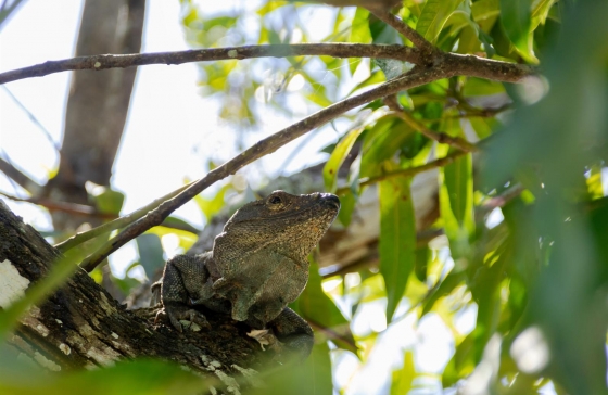 image95