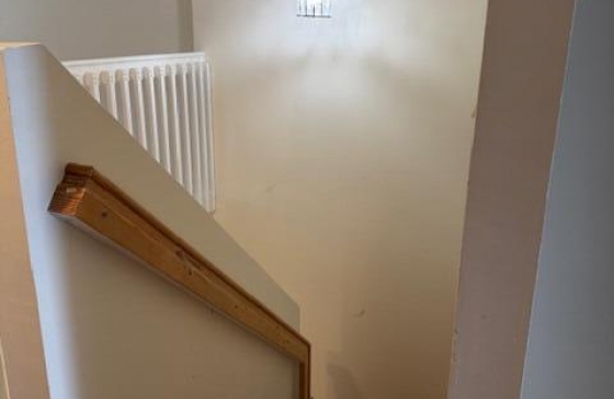 image11