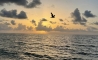 image17