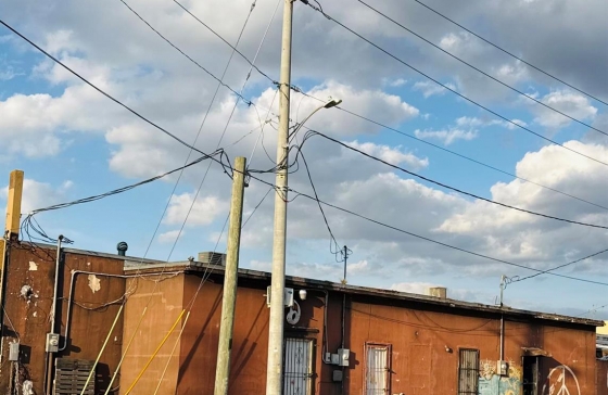 image8